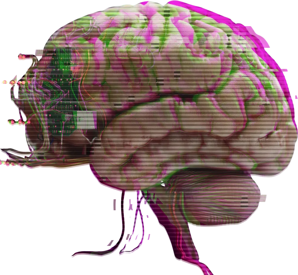 Mozek ilustrace